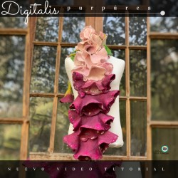 Video tutorial “Digitalis...